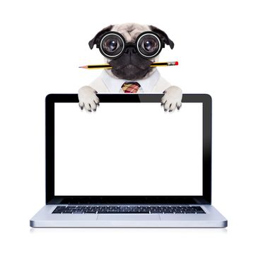 Dog with eyeglasses holding a laptop
