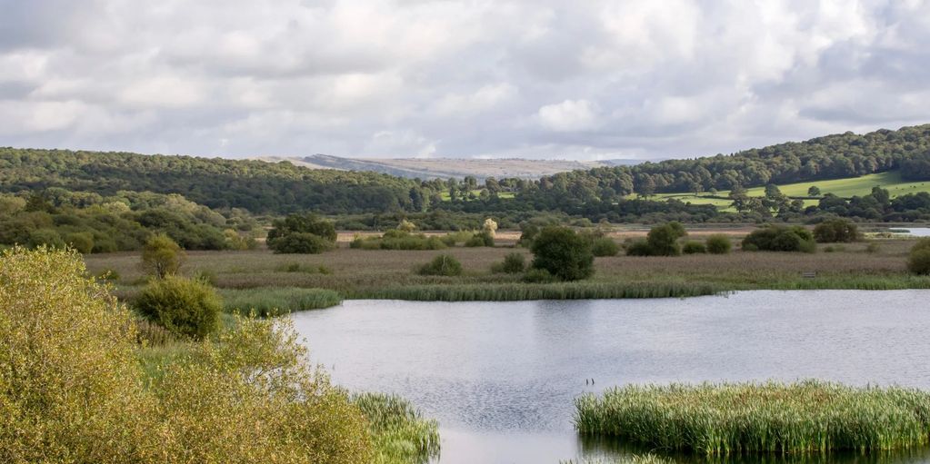 A peaceful lake surrounded by green trees and hills under a cloudy sky.