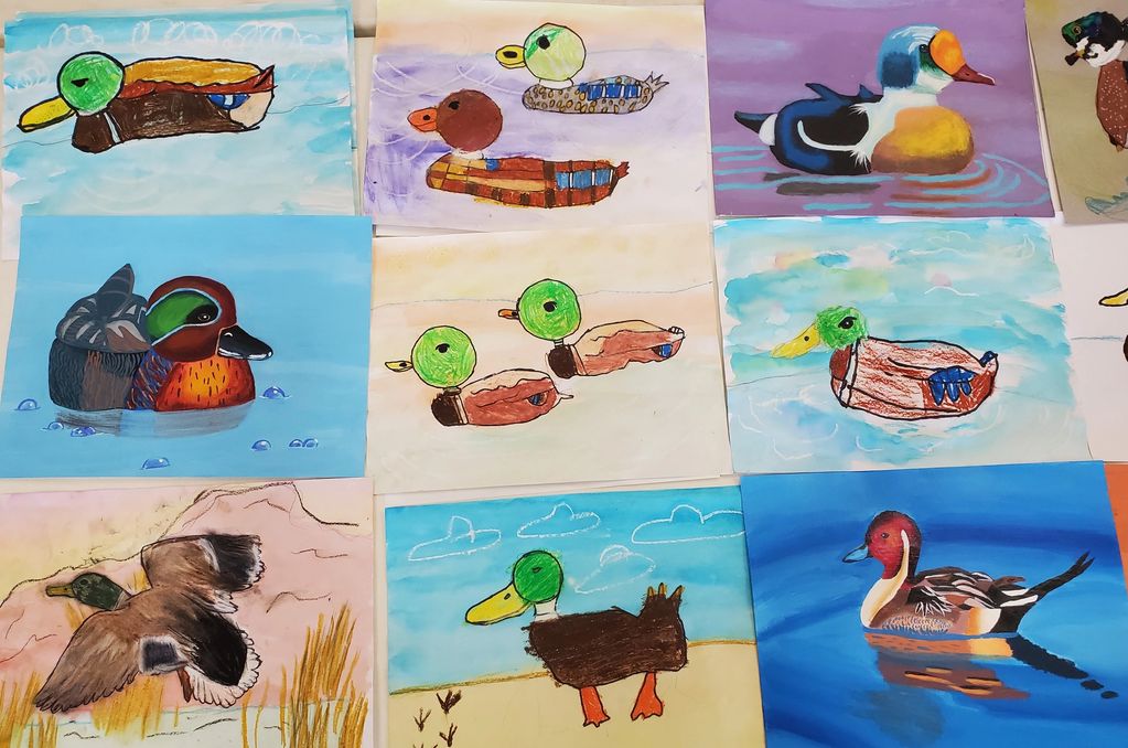 2023 Arizona Junior Duck Stamp Art Contest - Honorable Mention Entries #2 of 3