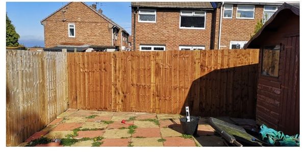 Sunny backyard with a new wooden fence.