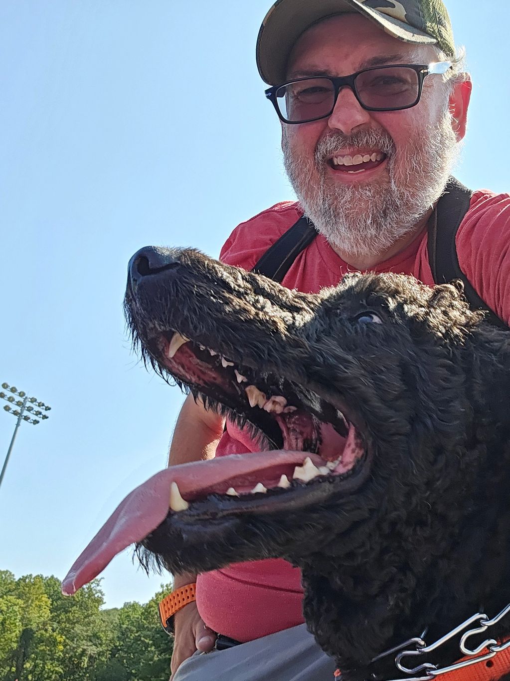 Man and poodle on football field.