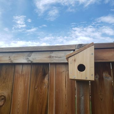 Birdhouse kit - predrilled holes - easy to assemble for kids