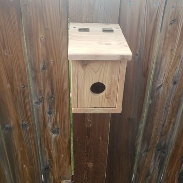Birdhouse kit - predrilled holes - easy to assemble for kids
