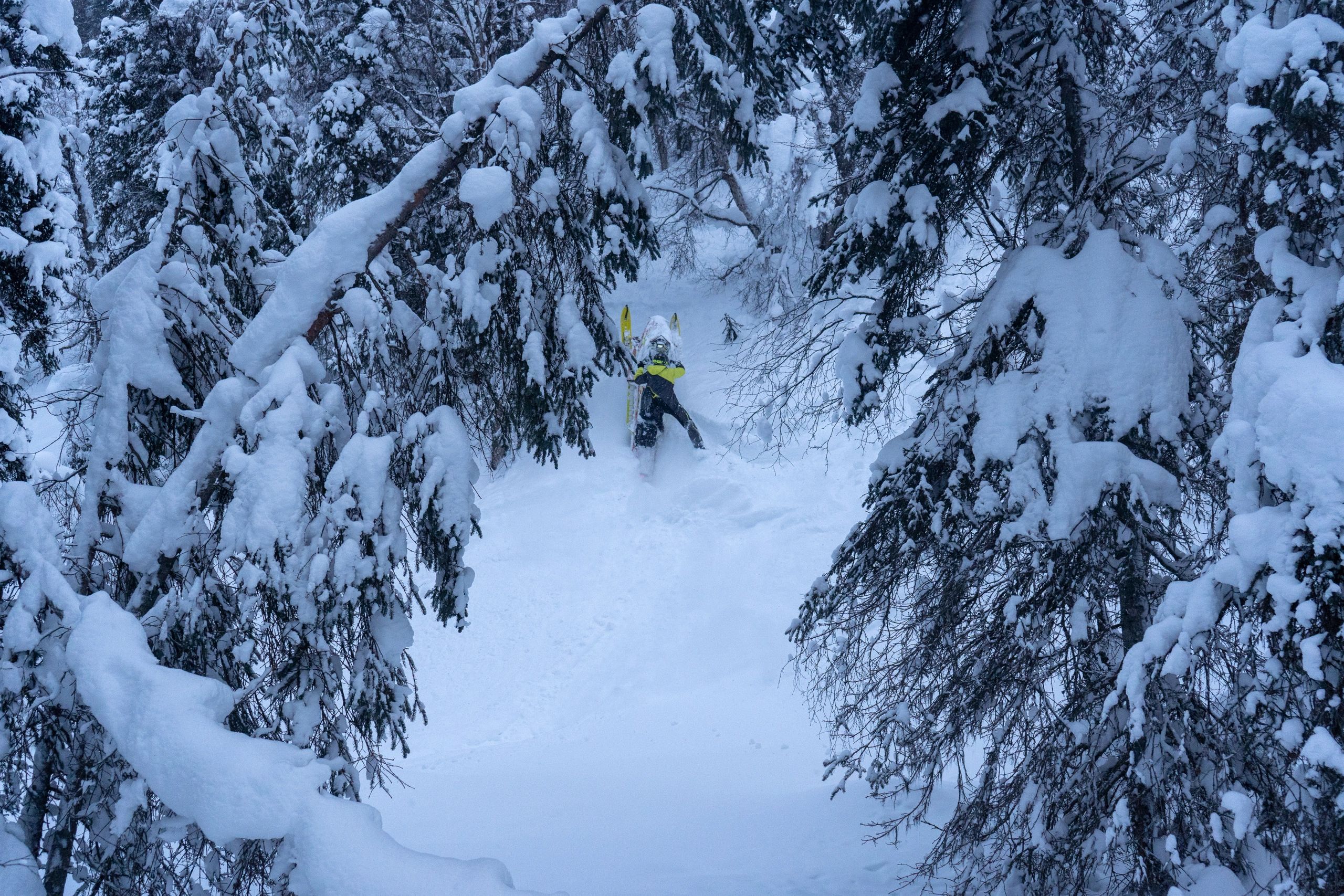 SledAlaska Pricing, Sled Rental, Polaris SledAlaska