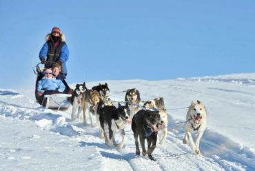 겨울 개썰매 투어