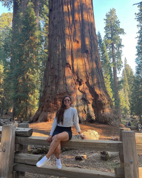 General Sherman Tree in Sequoia National Park