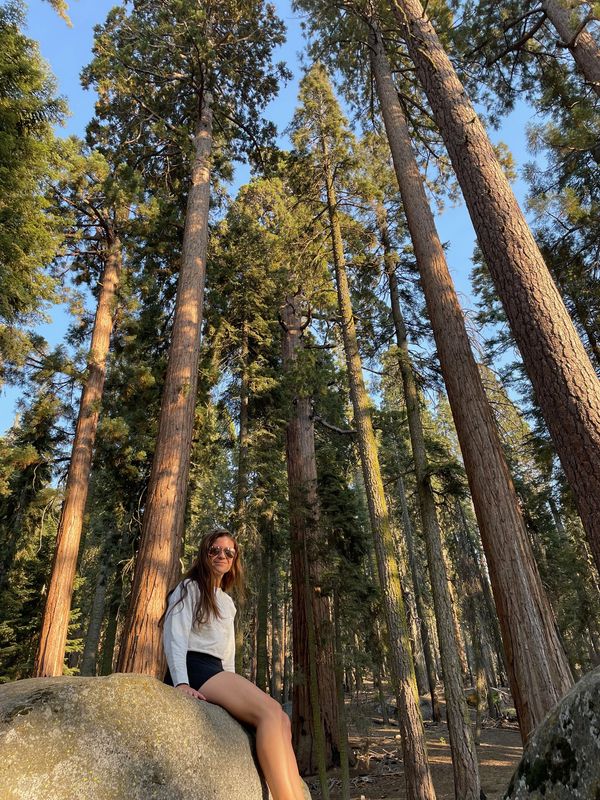 Congress Trail at Sequoia National Park