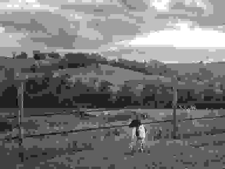 image1337