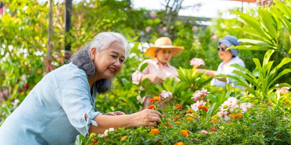 Elderly women enjoying gardening and tending to colorful flowers outdoors.
