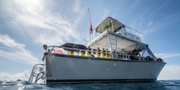 Dive boat Sunchaser at the dive site