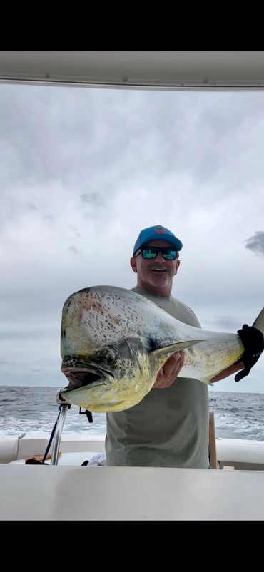 Dorados are abundant in Banderas Bay and make for some of the best fish tacos around.