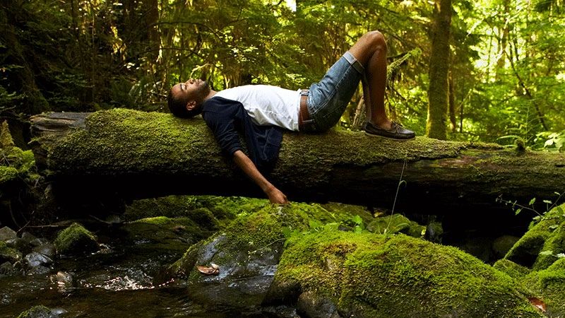 ATHIRAPPILLI - VAZHCHAL FOREST & RIVER CONTAINS FULL OF HERBS . FOREST BATHING BY FOREST BATH CLUB
