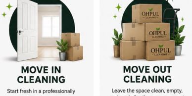 Move in and move out cleaning services with fresh spaces and packed boxes.