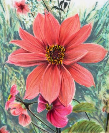 coloured pencil drawing of a pink flower