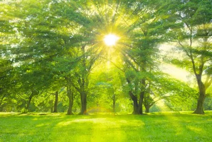 Beautiful view of sunrise