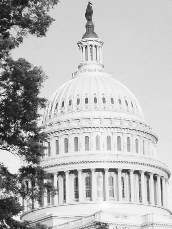 The dome of the United States Capitol building framed by trees under a clear sky.