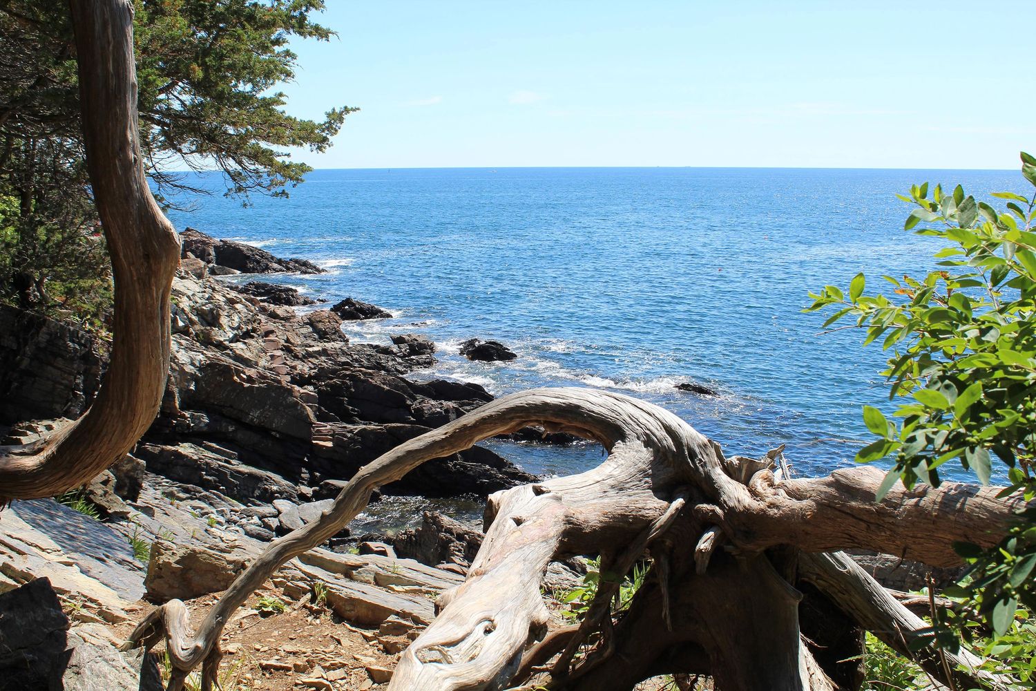 Ogunquit, Maine - Coastline