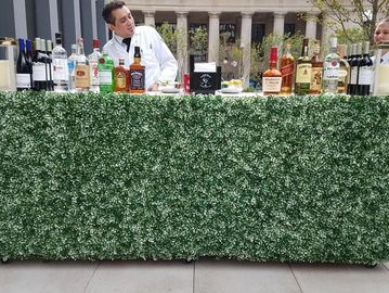 Boxwood Hedge Bar Rental in Chicago, IL