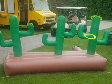 Inflatable Cactus Toss Game Rental - Chicago, IL