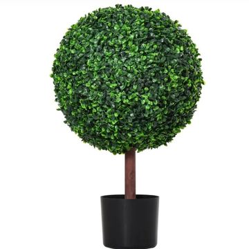 Boxwood Ball Topiary Rental - Chicago, IL