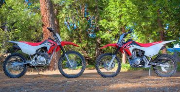 Two red and white dirt bikes parked side by side in a wooded area.