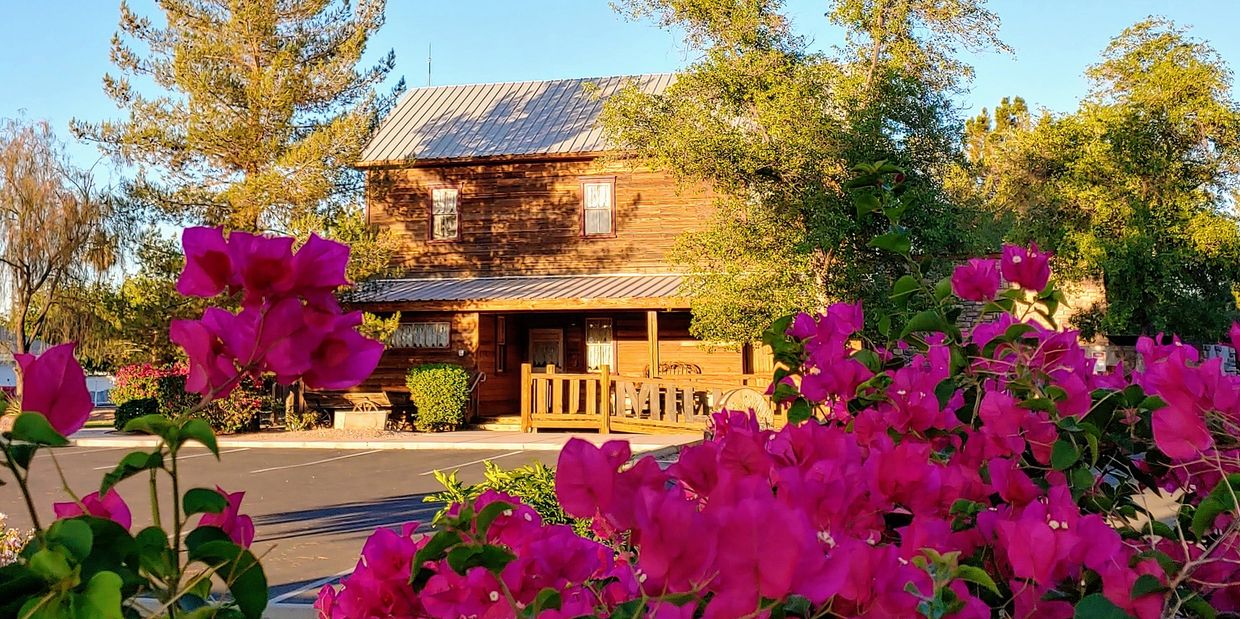A wooden house with vibrant pink flowers in the foreground under a clear blue sky.