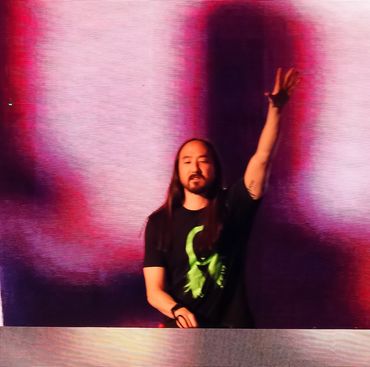 DJ and electronic music producer Steve Aoki.