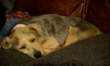 Betty at home after being treated in hospital