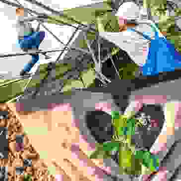 Photovoltaikanlagen Recycling