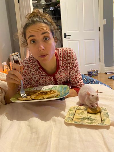 Rat adoption Ontario
Pet rats for adoption
Adopt rats Toronto
Rat breeders Toronto
Ontario rat adopt