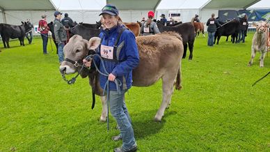 Maggie Treglowan with Koijak Asher.  Then Layla Linto with Koijak Consuela, both were in the novice handlers section.  Total entries were 184 cattle 