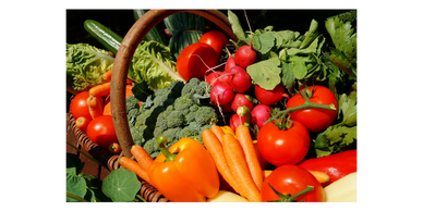 Vegetables Storage Recommendations