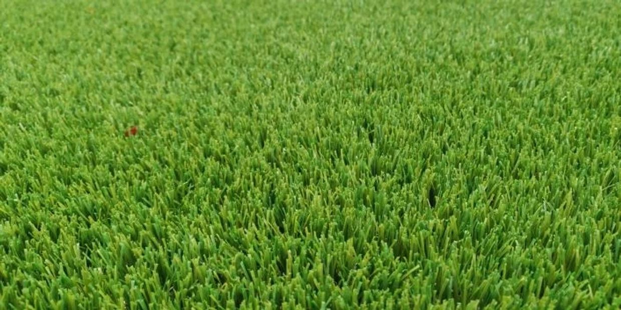 artificial grass installation Adelaide, artificial lawn installation Adelaide, Craigmore, Blakeview