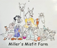 Millers' Misfit Farm