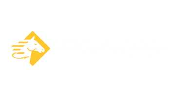 paladin airport security Services