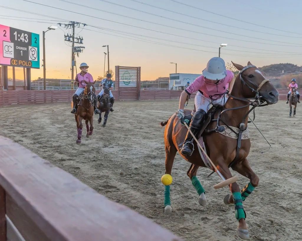 Polo players in action during a match at sunset.