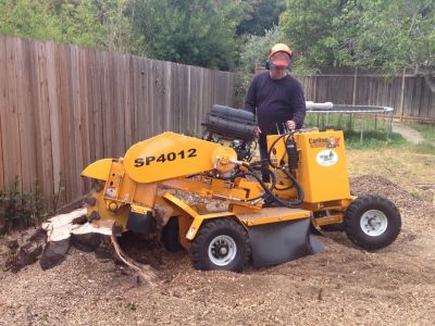 A yard requiring tree stump removal in Santa Clara, CA.