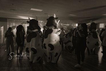 People at a party with several individuals in inflatable cow costumes.