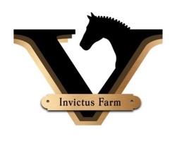 Invictus Farm and Sport Horses of Florida 