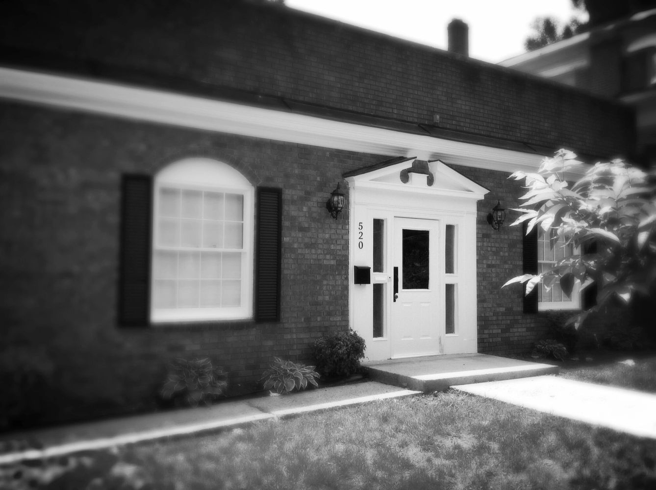 image18