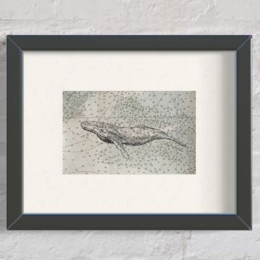 Whale art ink drawing ocean cape cod