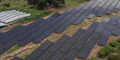 Parque Solar Fotovoltaico 