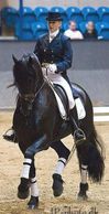 March 30 and 31, 2019.  Riding, Driving or Keuring Prep lessons by the very talented Petra.