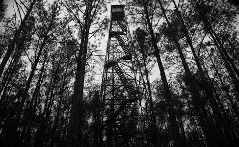 Fire Tower on Fire Tower Road