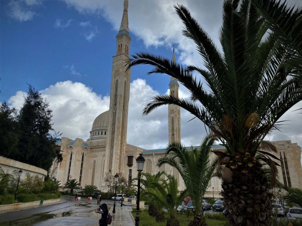Algiers private custom tours. Mosque in Algeria