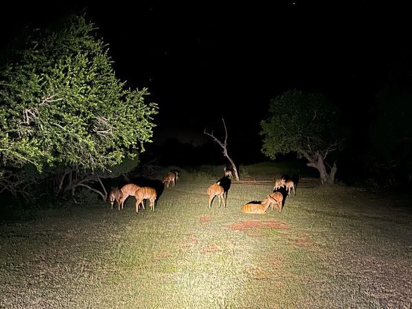 Eswatini private tour