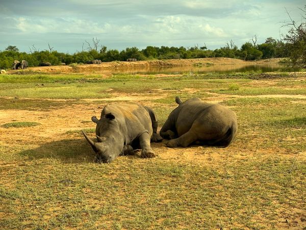 Eswatiny private tour