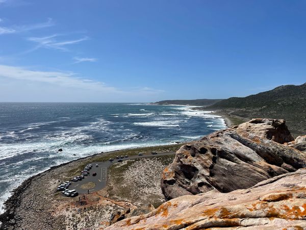 Cape of a Good Hope, South Africa guided tour