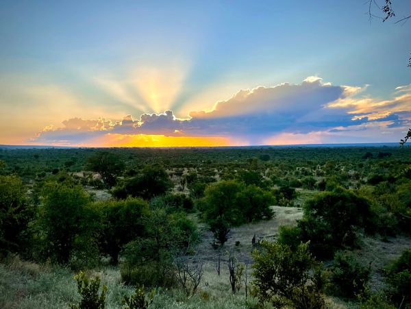 Sunset overlooking the savanah, Zimbabwe
