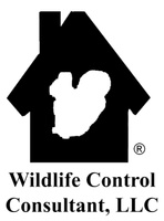 Wildlife Control Consultant, LLC